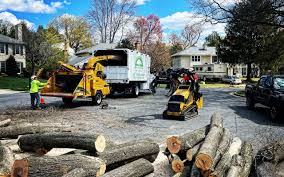 Best Firewood Processing and Delivery  in Bokeelia, FL